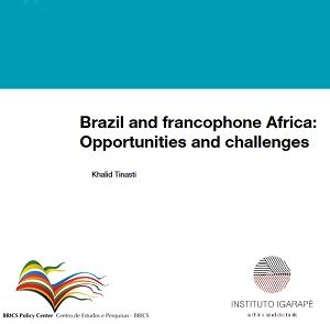 miniatura-brics-igarape