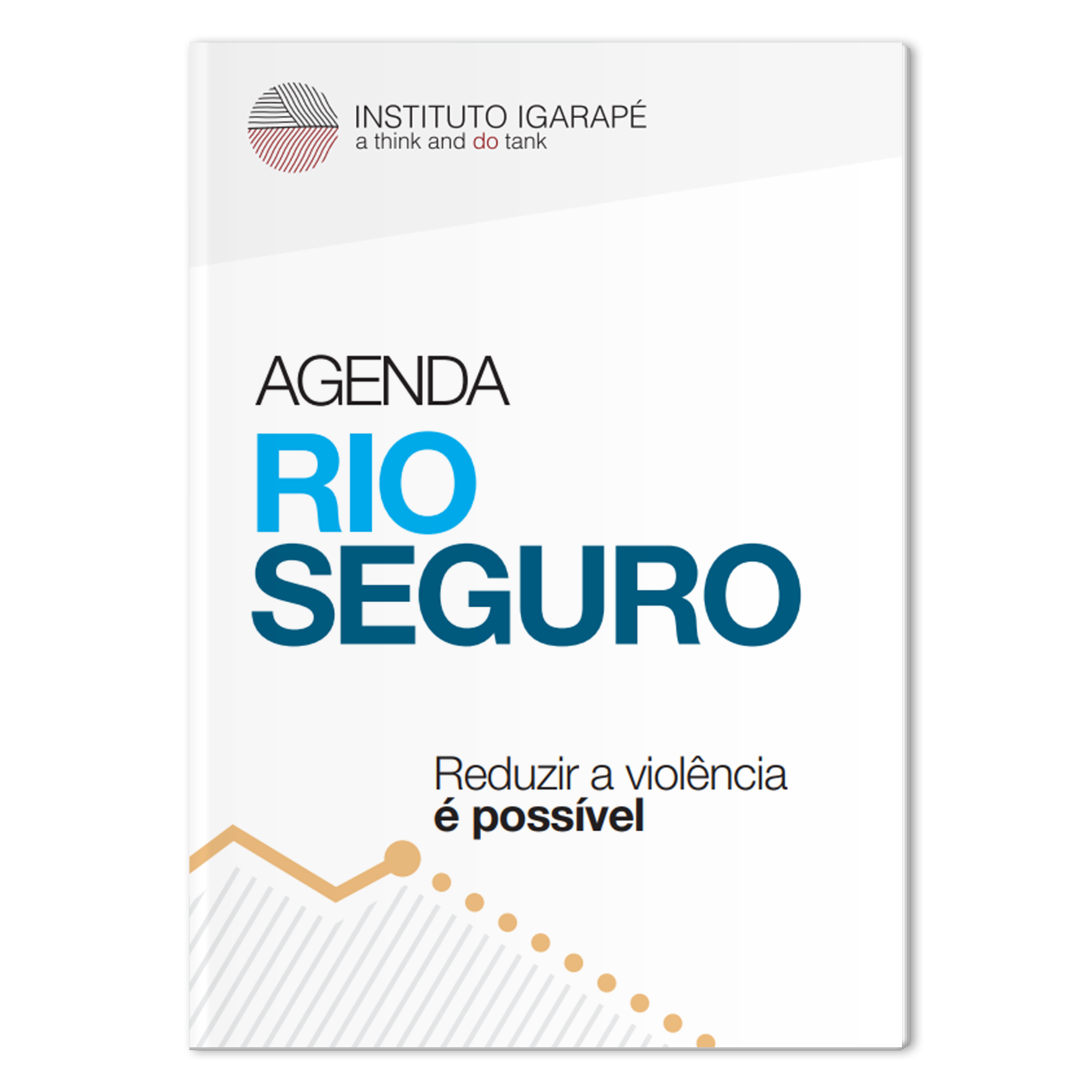 Agenda Rio Seguro
