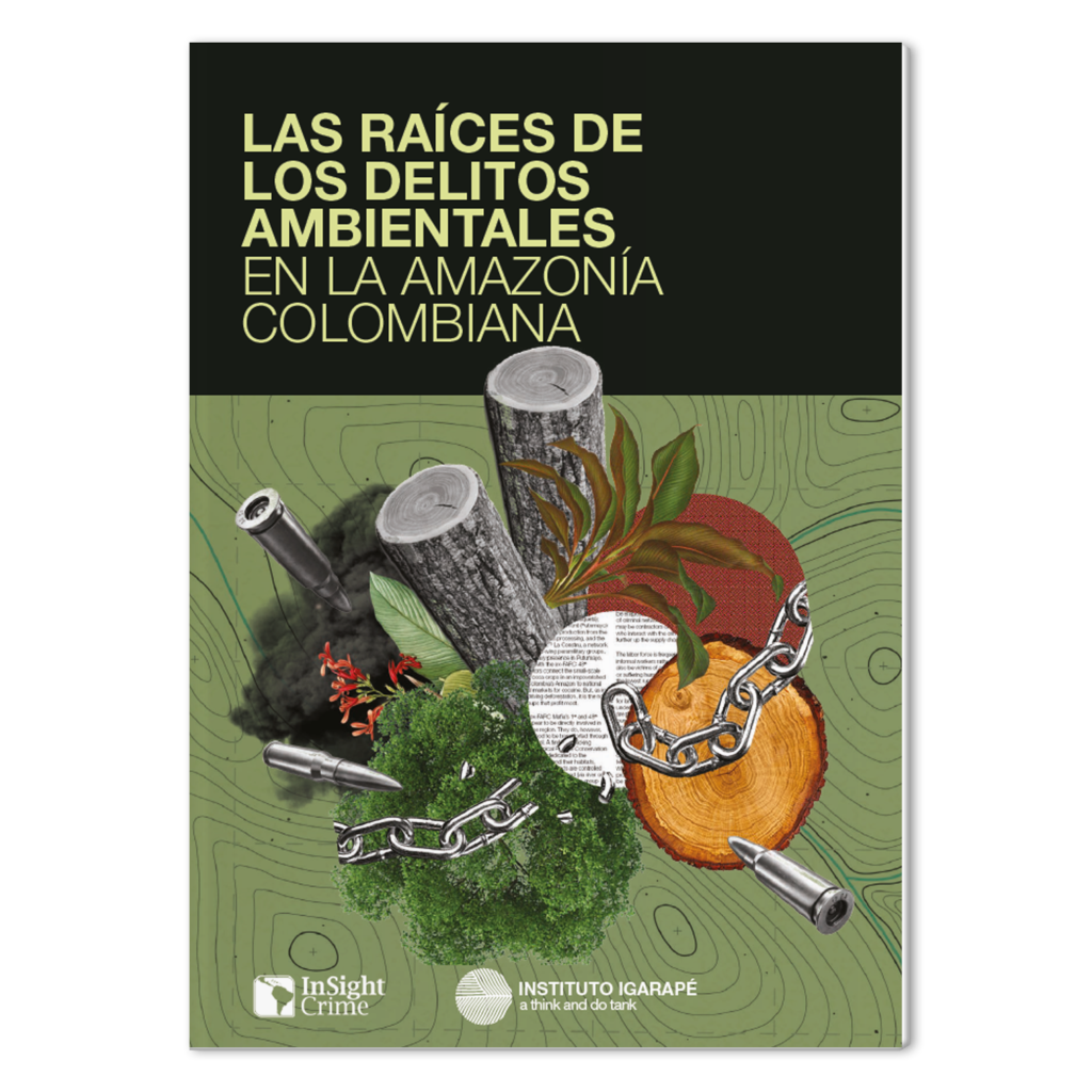 Las raíces de los delitos ambientales en la Amazonía colombiana
