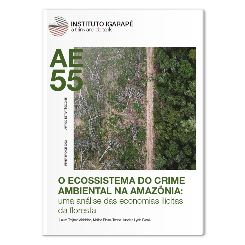 O ecossistema do crime ambiental na Amazônia: uma análise das economias ilícitas da floresta