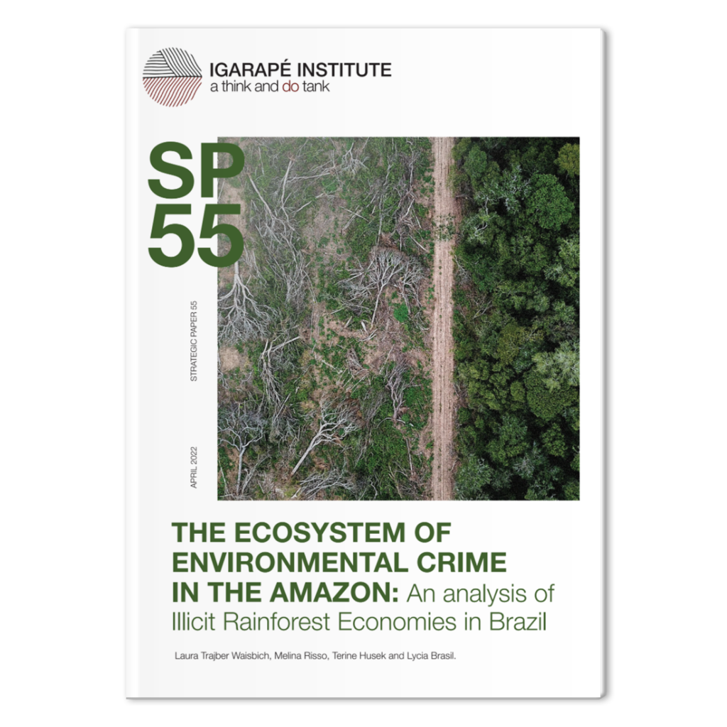 The ecosystem of environmental crime in the Amazon: an analysis of illicit rainforest economies in Brazil