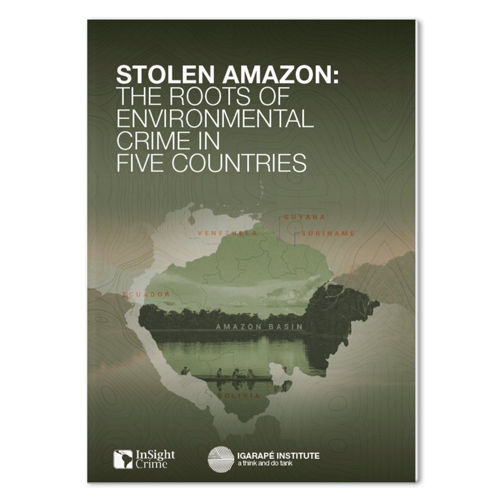 Stolen Amazon: the roots of environmental crime in five countries