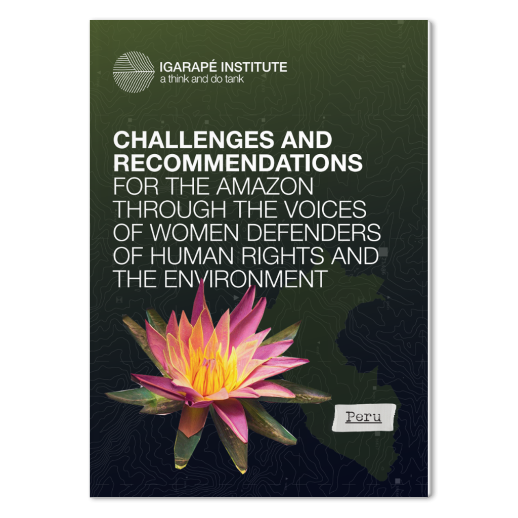 Challenges and Recommendations for the Amazon – Peru