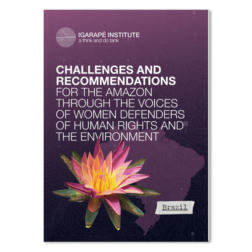 Challenges and recommendations for the Amazon – Brazil