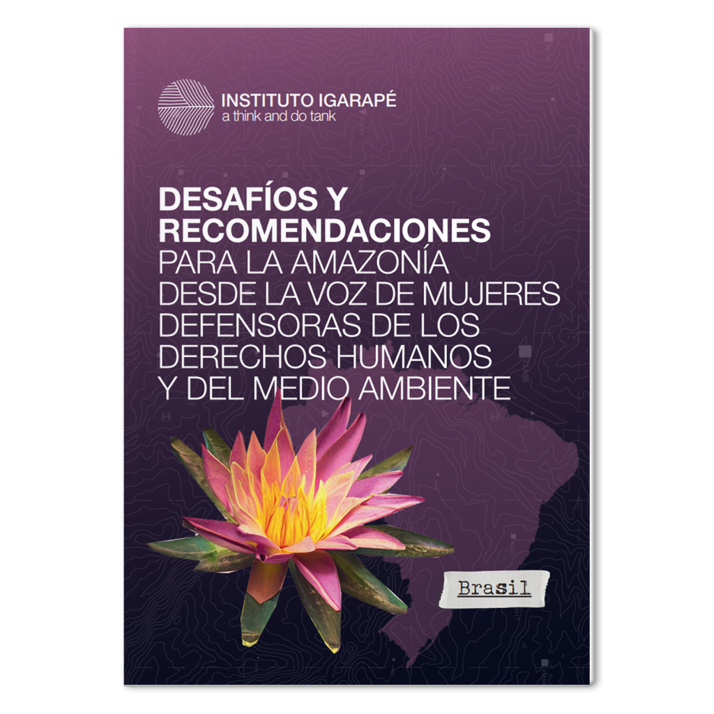 Desafíos y recomendaciones para la Amazonía – Brasil