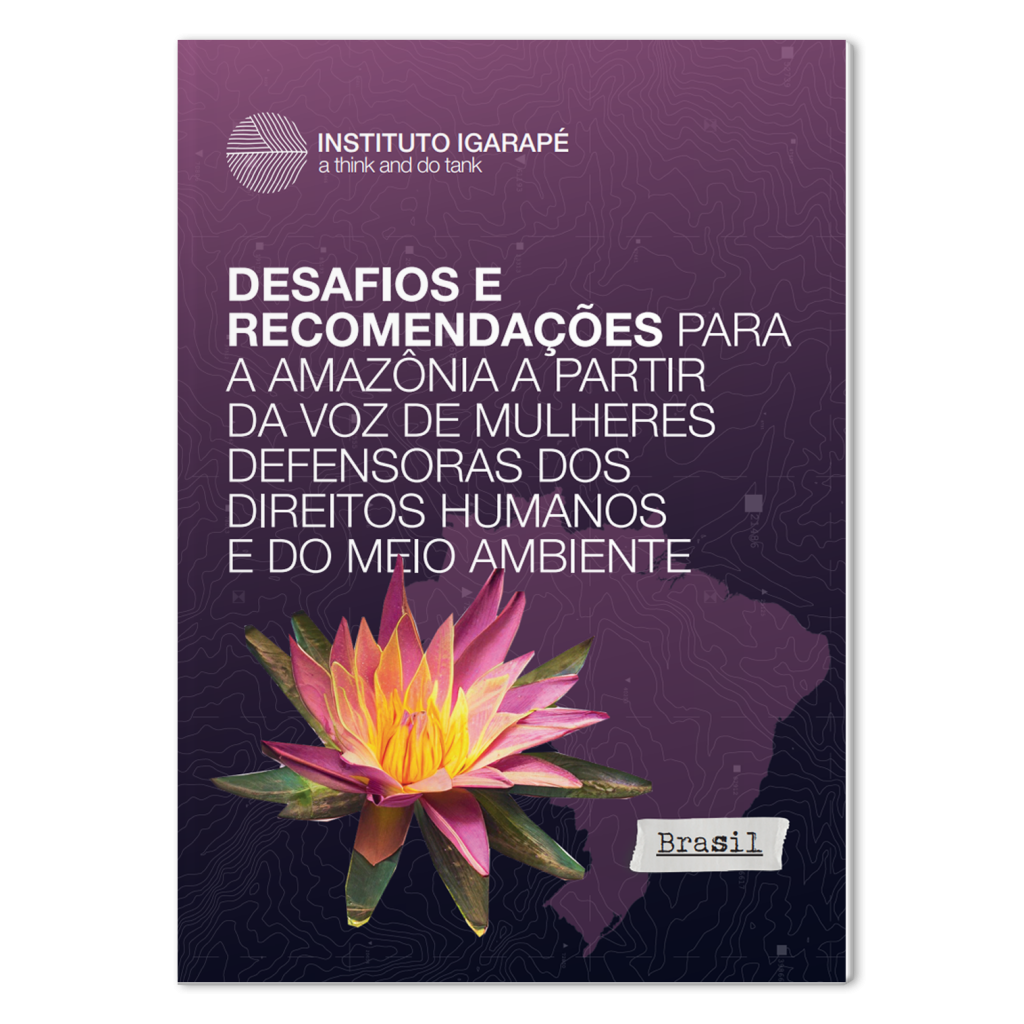 Desafios e recomendações para a Amazônia – Brasil