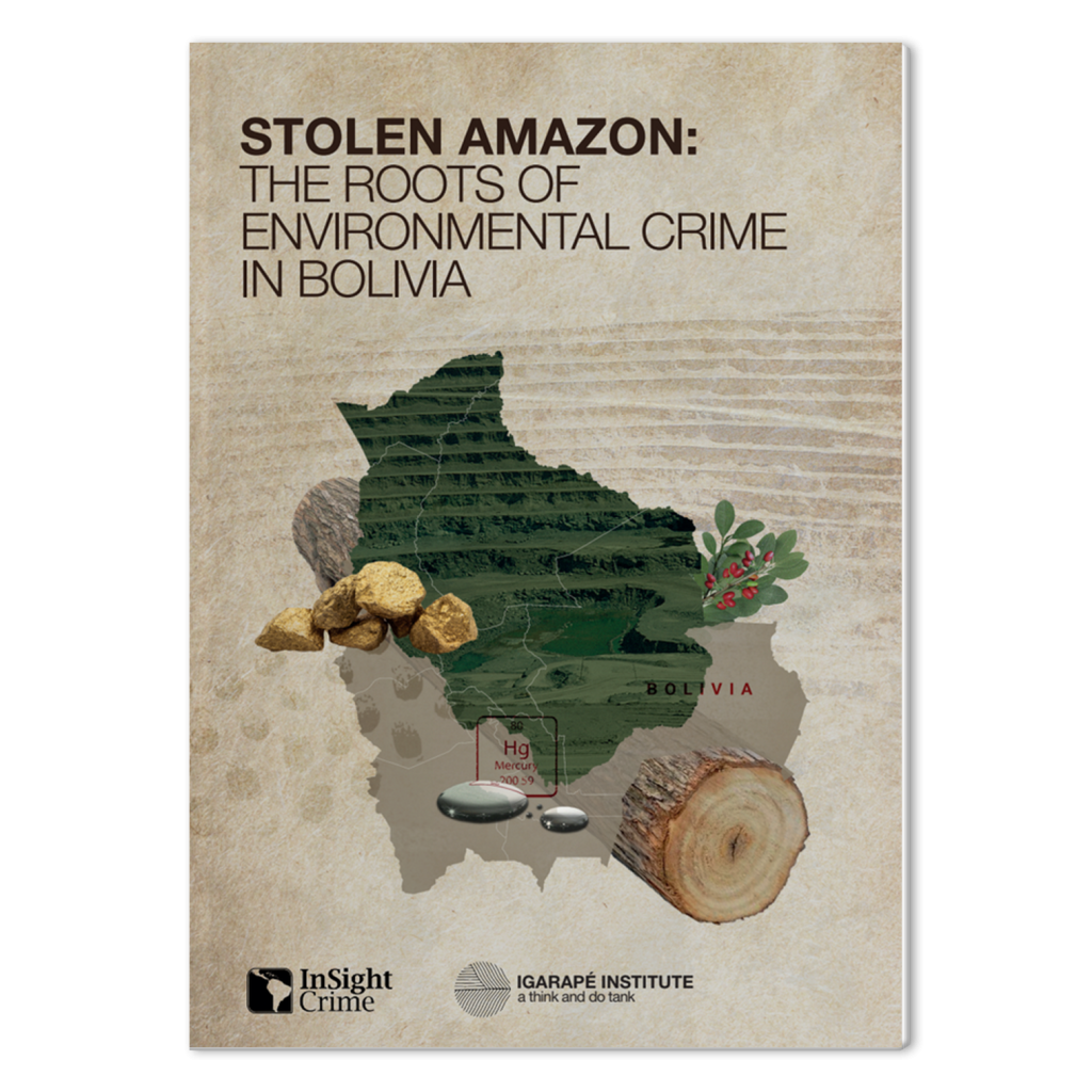 Stolen Amazon: the roots of environmental crime in Bolivia