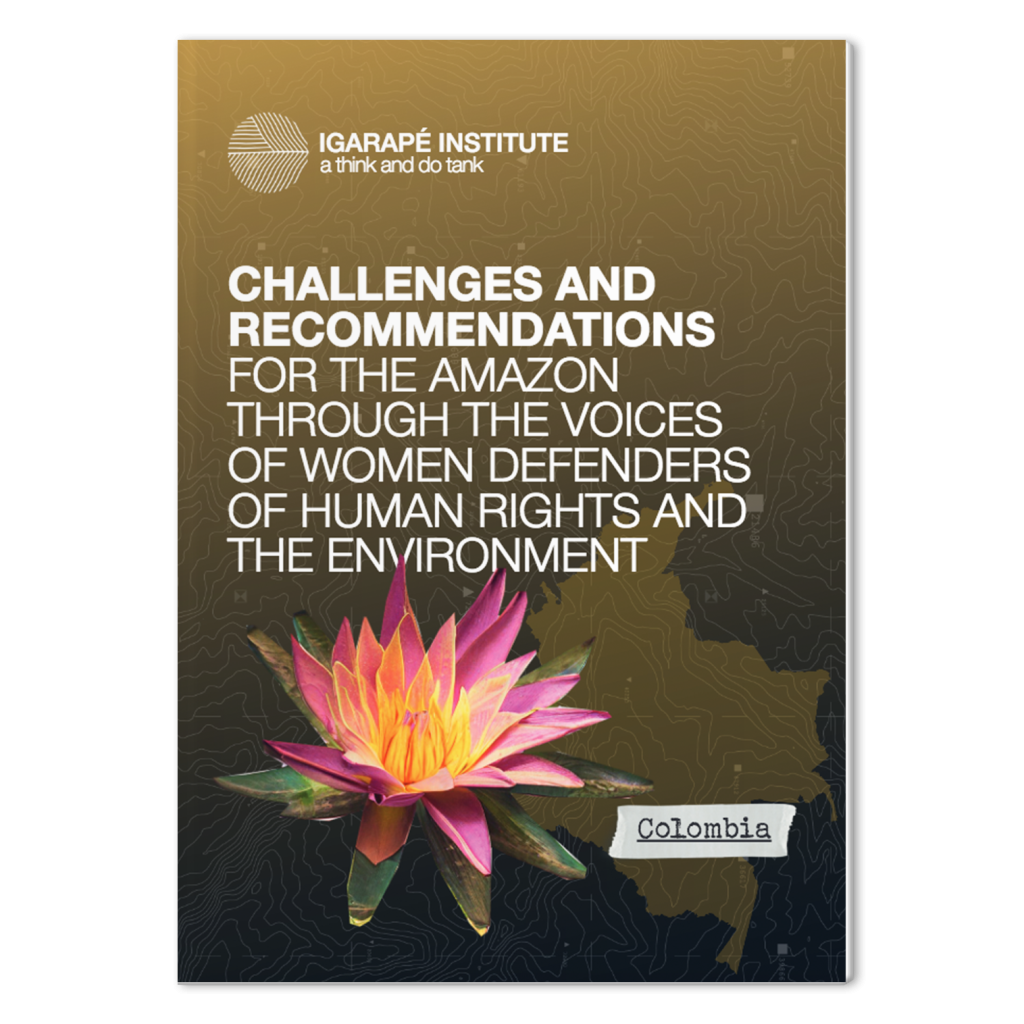 Challenges and Recommendations for the Amazon through the voices of women defenders of human rights and the environment